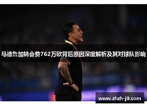 马德鲁加转会费762万欧背后原因深度解析及其对球队影响